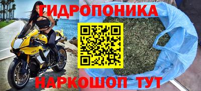 мяу мяу мука Краснокаменск